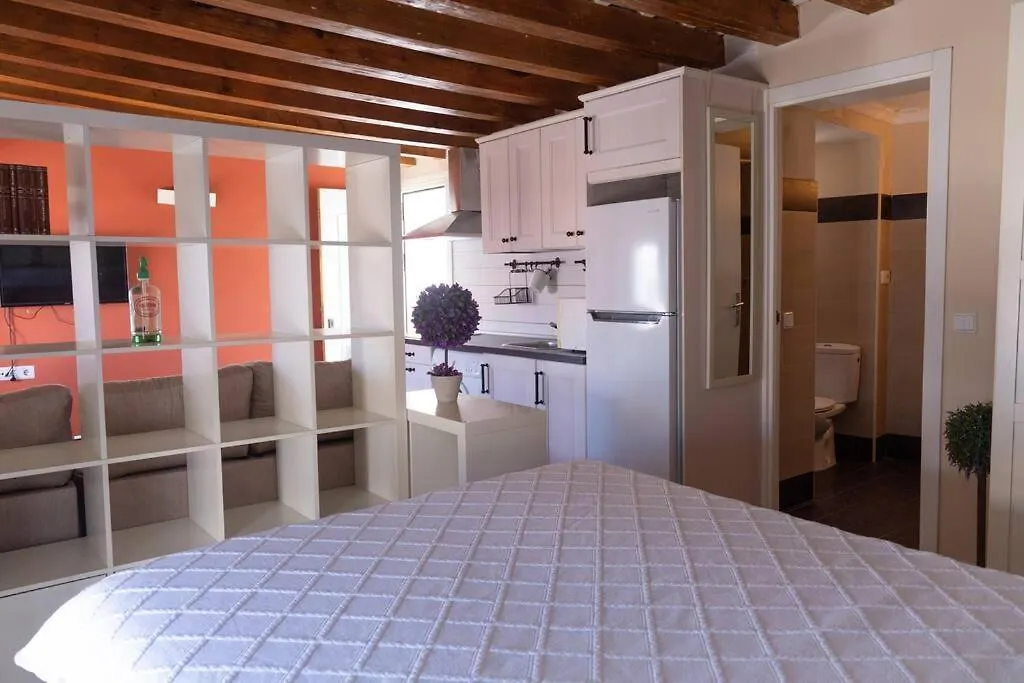 El Loft De Abreu Apartment Cadiz 0*,  Spain