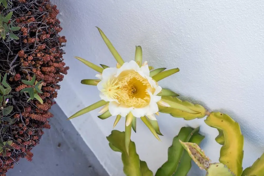 Apartamento El Loft De Abreu Cádiz España